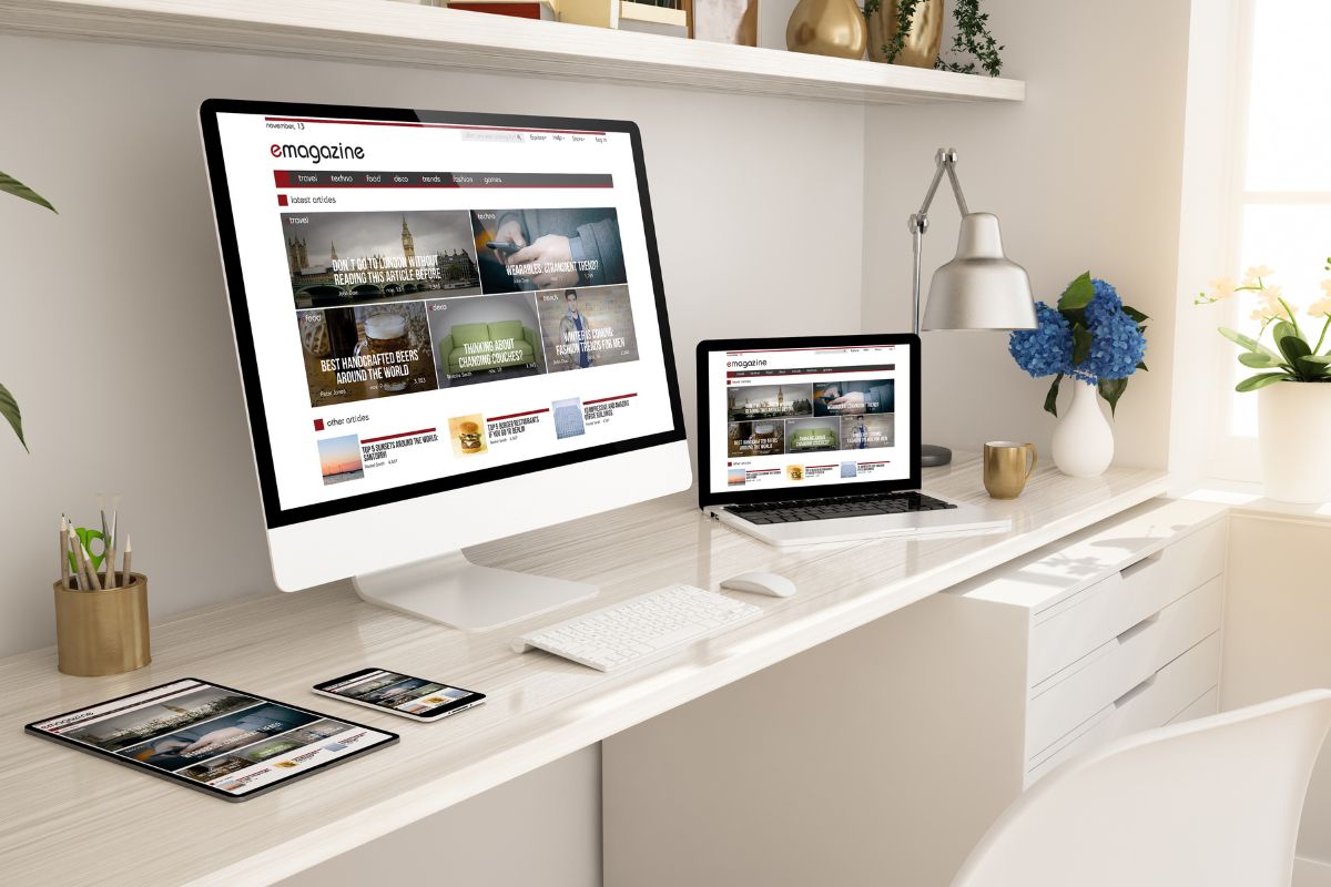Ecommerce Website Design and Development services 